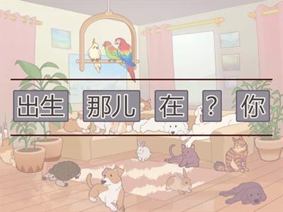 EASY STEPS TO CHINESE 2 国家，语言