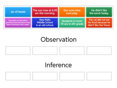 Observation and Inference  