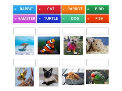 Learn with us 1. Unit 5