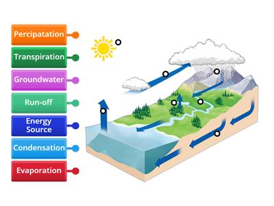  Water Cycle Labeled Diagram 