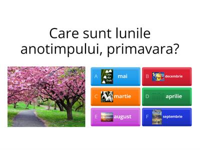 Lunile anului, disciplina- explorarea și cunoașterea mediului înconjurător, clasa a-VII-a, autor Dume Camelia