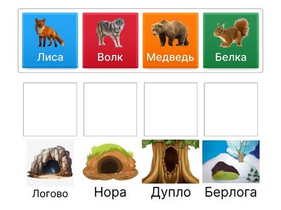 Дикие животные. Кто где живёт?