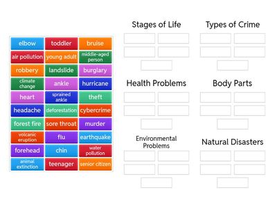 GTTW B1 Units 1-6 vocabulary revision