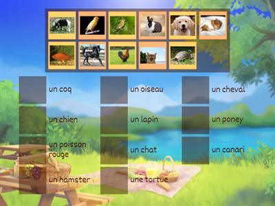 Les animaux domestiques
