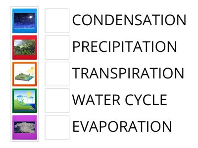 Water Cycle