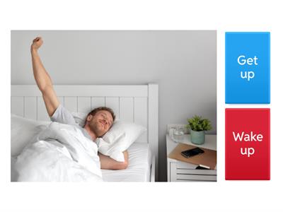 Daily Routine #3 | Similar Actions