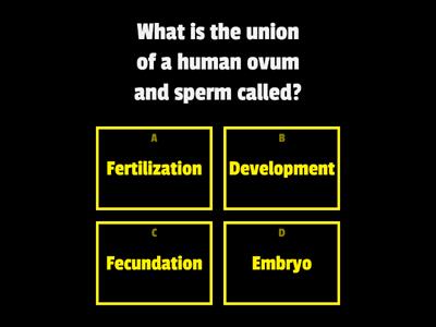 Reproductive System