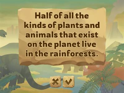 ОГЭ УЧ1 The rainforest