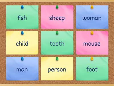 GTTT 1 M2 irregular plurals