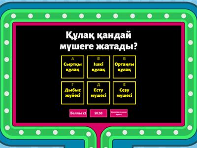 Әдемі іш киім мен шұлықтағы порно, тамаша сапа