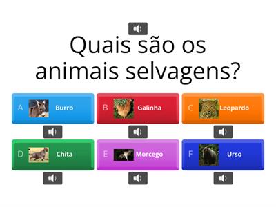  Animais Selvagens