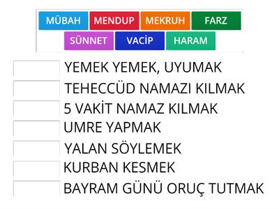 EF'AL-İ MÜKELLEFİN Ahmet Kemerci