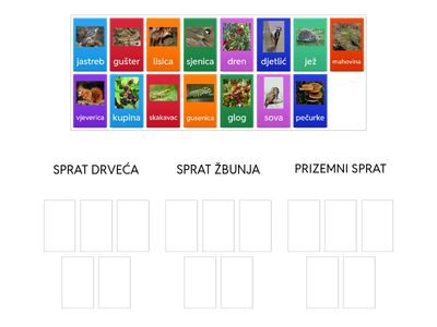 Život u šumi po spratovima