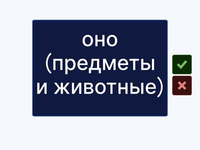 Personal+possessive pronouns