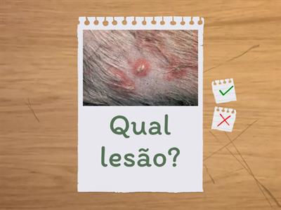 LESÕES DERMATOLÓGICAS