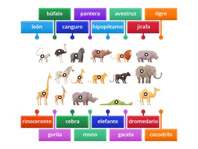 Atencion láminas animales salvajes