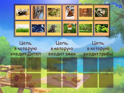  Цепи питания