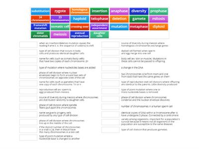 Cell Division & Mutations