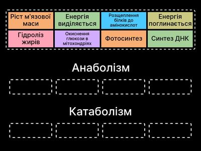 Метаболізм