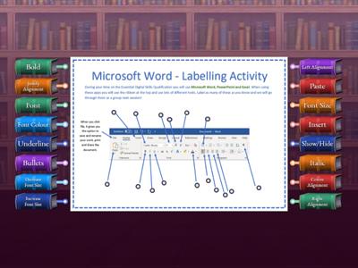 Microsoft Word Labelling