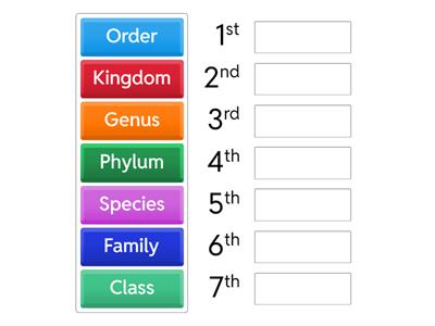 Classification System of Living Things