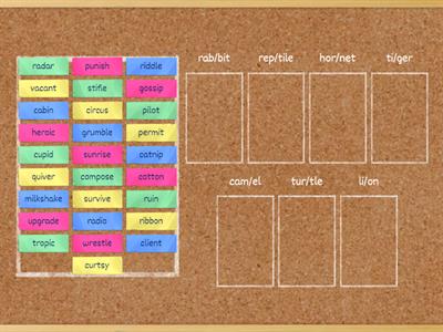 Syllable Division Rules