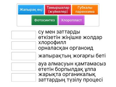 3 топ (Терминдер сайысы)
