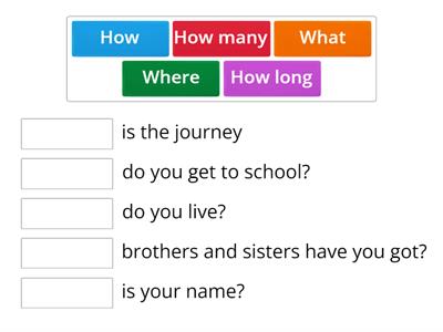 Primary 4 Question words