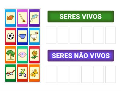 Seres Vivos e Seres Não Vivos