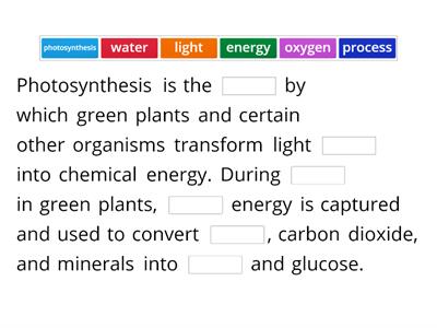 Photosynthesis