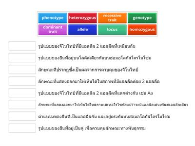 คำศัพท์เกี่ยวกับพันธุศาสตร์