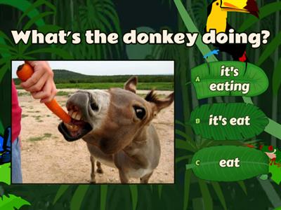 Animals are doing. Pre First 4