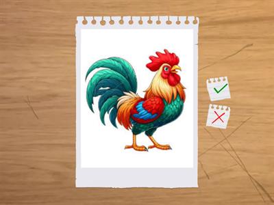 Nối từ với hình