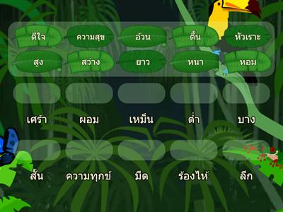 คำตรงข้าม ภาษาไทย ป.2