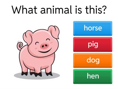 animals