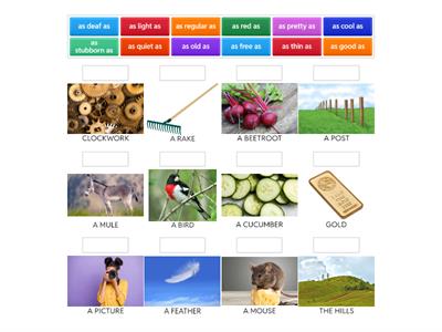 GT #306 - "Can a person have no personality?" - Simile