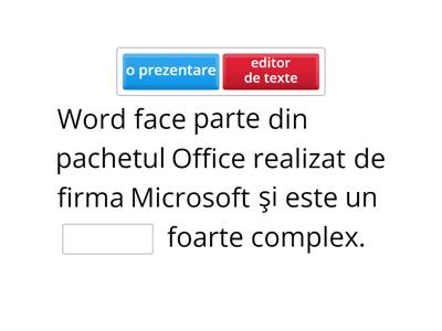 Microsoft Word