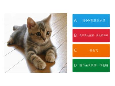 猜猜我是什么动物-Choose the correct description