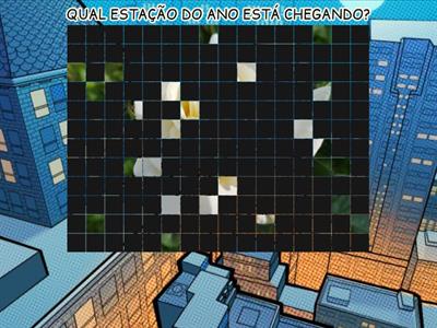 PERGUNTAS ALFABETIZAÇÃO