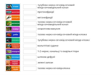 Видільна система