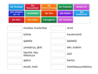 Unter uns 5, luku 3.3: GEHIRN (teemasanasto)