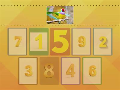 Птахи. Рахунок