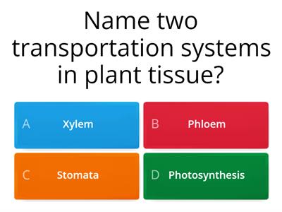 Plant Physiology