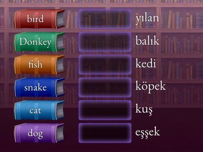 ingilizce hayvanlar