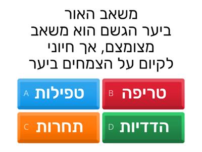 קשרי קיום כיתה ו 