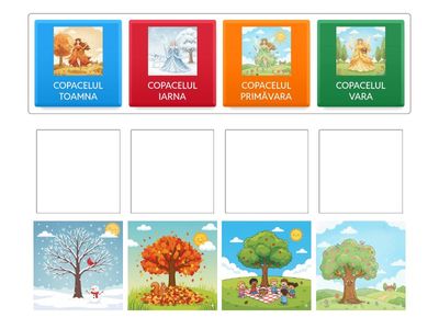 COPACELUL IN CELE PATRU ANOTIMPURI