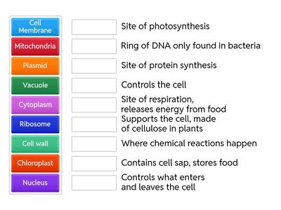 Cell structure functions match up (N5)