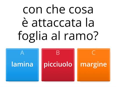 quiz di scienze
