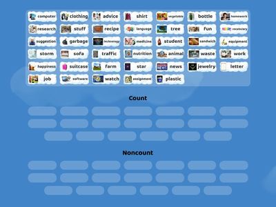 Count and Noncount Nouns