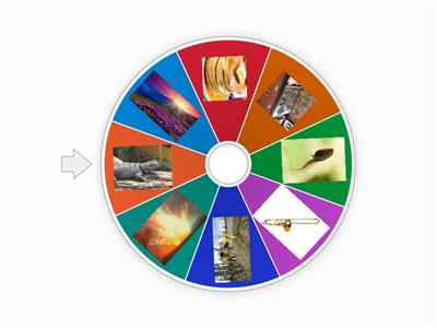 Lesson 27 Pattern Words VCE